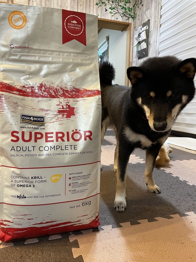 フィッシュ4ドッグ スーペリアアダルト 日本ペットシッターサービス仙台店 Ma Famille